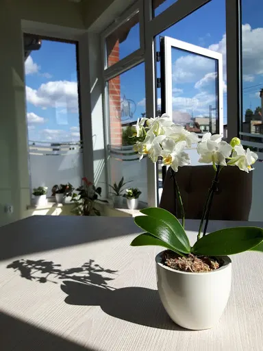 JUKA Dom Pogrzebowy 24 h Rafał Węsierski